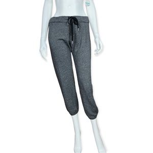 Current/Elliott The Varsity Seeatpant